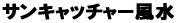 �T���L���b�`���[����